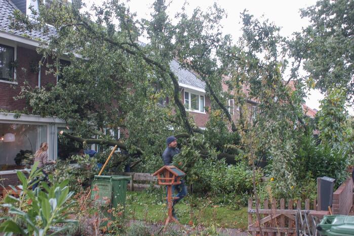 Grote boom valt om tegen woning