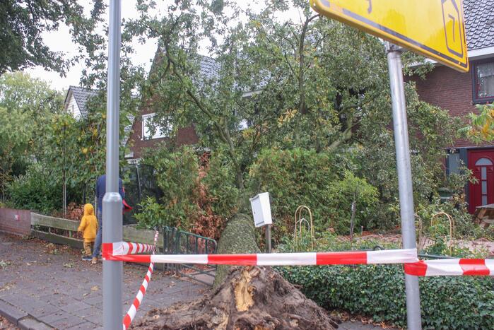 Grote boom valt om tegen woning
