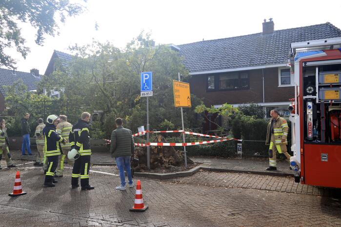 Grote boom valt om tegen woning