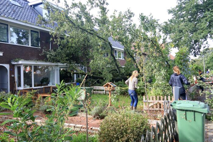 Grote boom valt om tegen woning