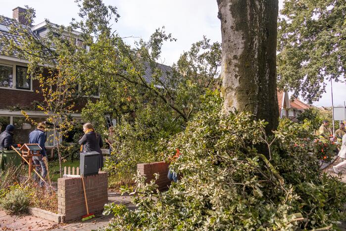 Grote boom valt om tegen woning