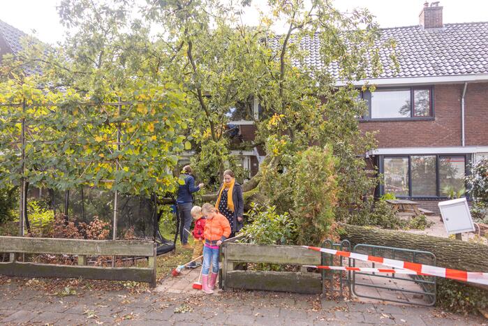 Grote boom valt om tegen woning