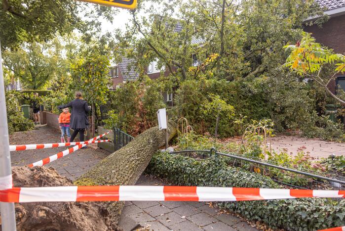 Grote boom valt om tegen woning