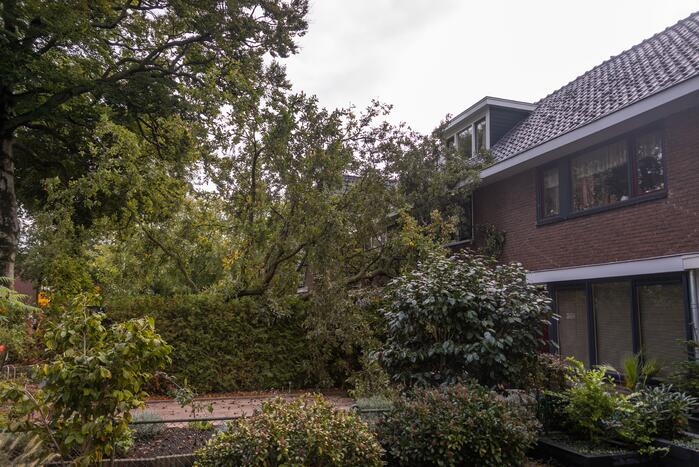 Grote boom valt om tegen woning
