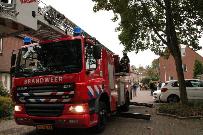 Brand redt kat van het dak