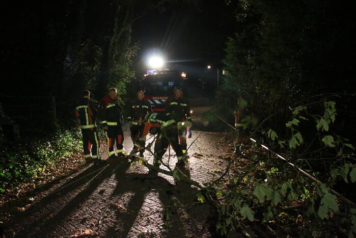 Flinke tak valt uit boom