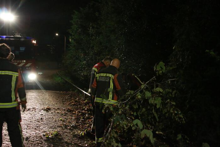 Flinke tak valt uit boom