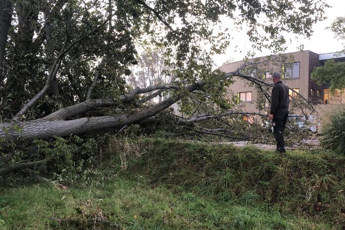 Omgevallen boom blokkeert fietspad en pakeerplaats