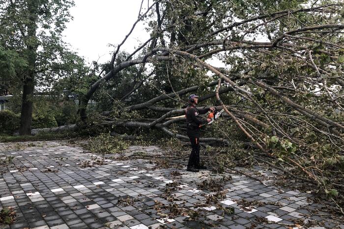 Omgevallen boom blokkeert fietspad en pakeerplaats