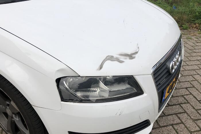 Wielrenner vliegt over motorkap van auto