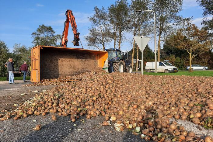 Wegdek bezaaid met net geoogste uien