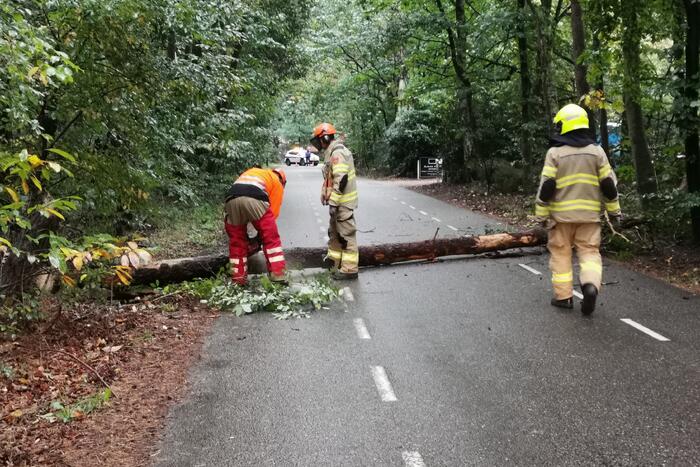 Dikkenbergweg 112 meldingen Bennekom 