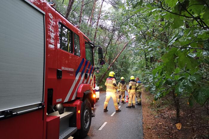 Brandweer zaagt twee gevaarlijk hangende bomen om