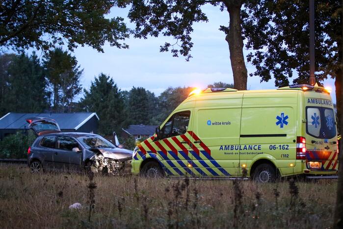 Bestuurder botst met auto op boom