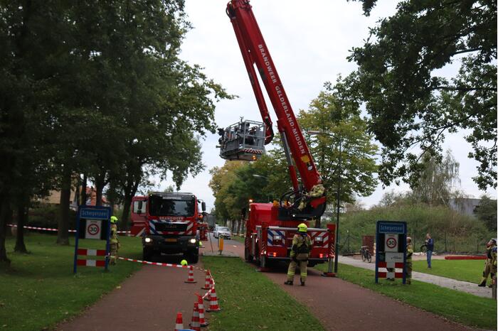 Gevaarlijke tak onbereikbaar door te korte ladder
