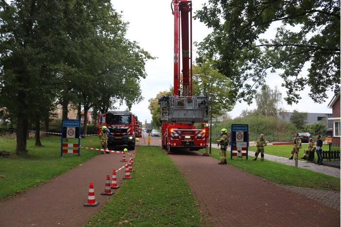 Gevaarlijke tak onbereikbaar door te korte ladder