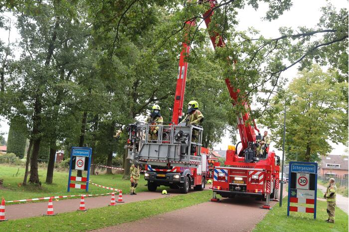 Gevaarlijke tak onbereikbaar door te korte ladder