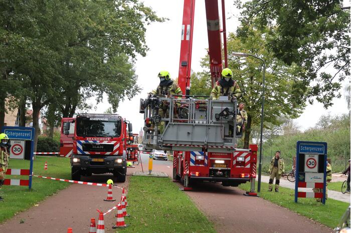 Gevaarlijke tak onbereikbaar door te korte ladder