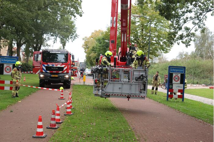 Gevaarlijke tak onbereikbaar door te korte ladder