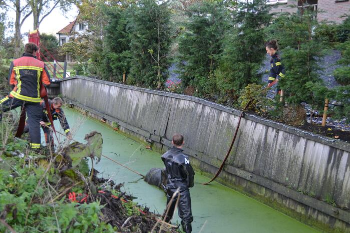 Paard met man en macht uit de sloot getrokken