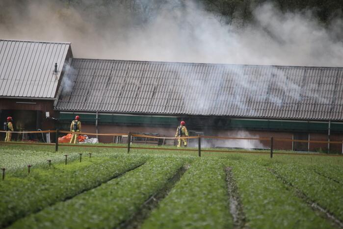 Grote brand in varkensstal gepaard met veel rook