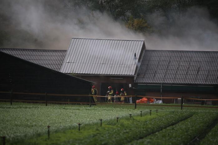Grote brand in varkensstal gepaard met veel rook