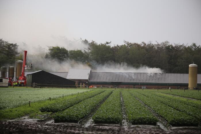 Grote brand in varkensstal gepaard met veel rook