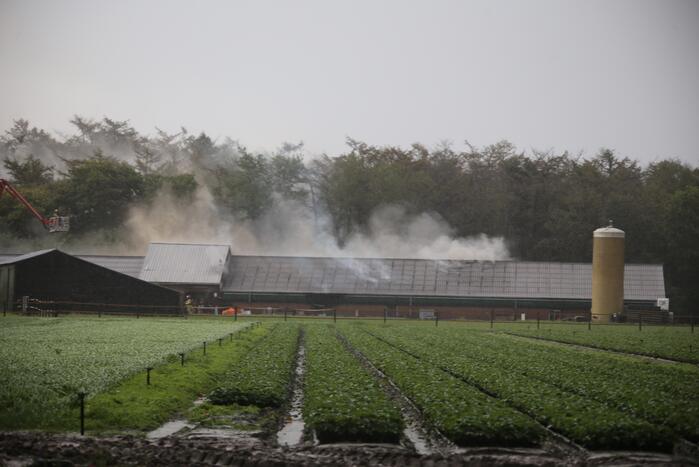 Grote brand in varkensstal gepaard met veel rook