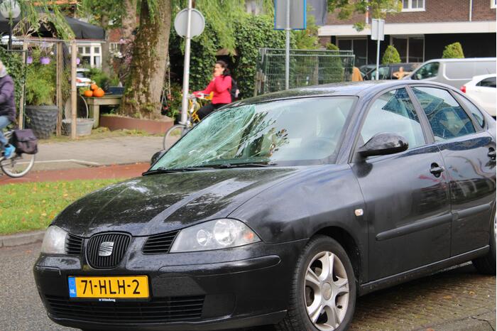 Persoon geschept door personenauto