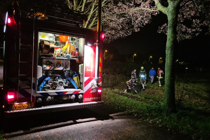 Nachtelijke reddingsactie voor koe te water