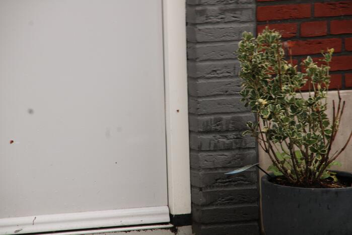 Geschoten op woning in Homeruskwartier