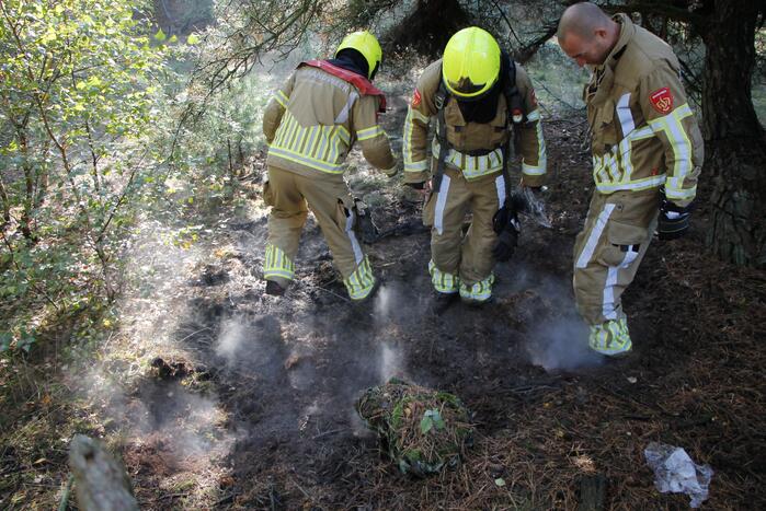 Brand in bosgebied snel geblust