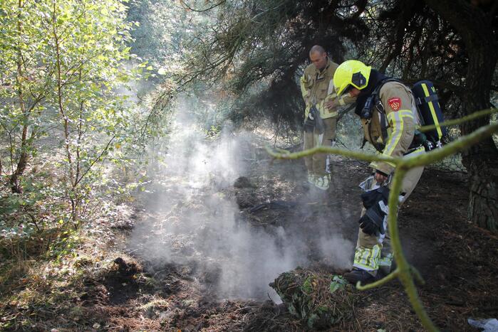 Brand in bosgebied snel geblust