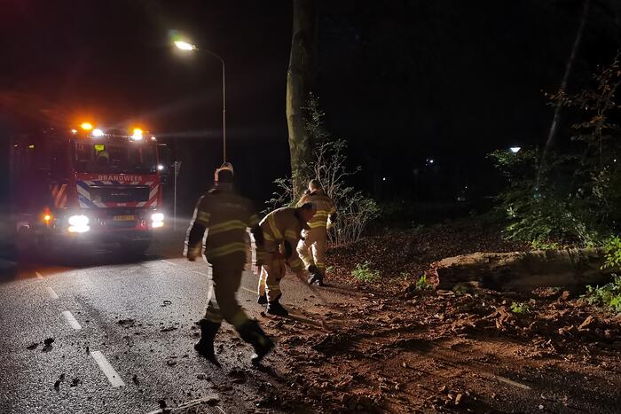 Update: #Bennekom Brandweer verwijdert verrotte boom van de weg Horalaan Bennekom.