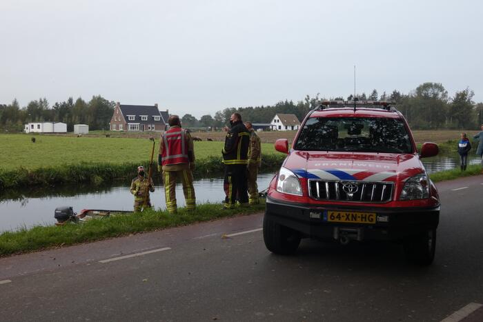 Twee koeien belanden in een sloot