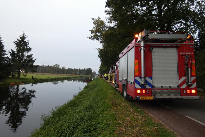 Twee koeien belanden in een sloot