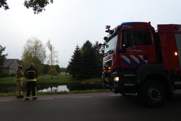 Twee koeien belanden in een sloot