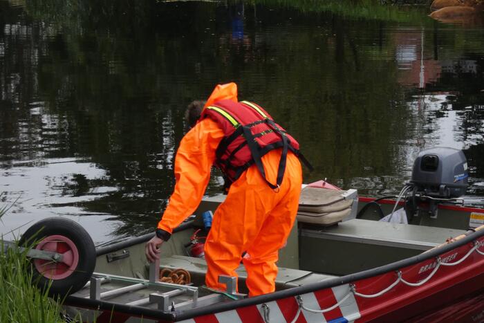 Twee koeien belanden in een sloot