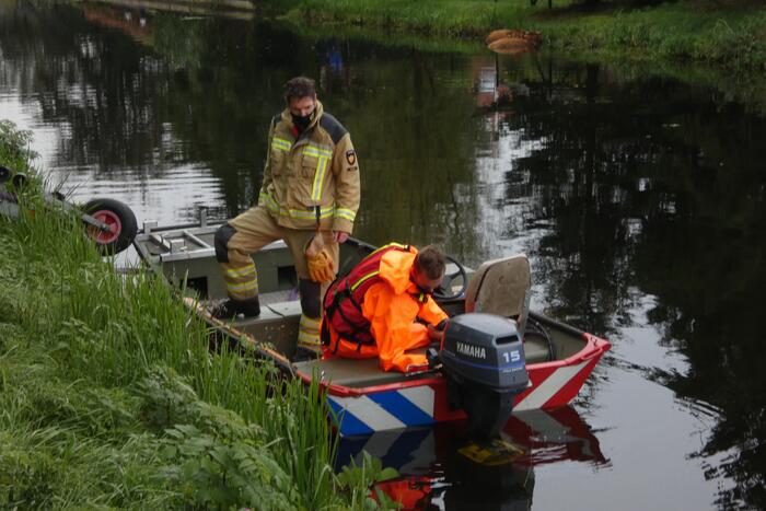 Twee koeien belanden in een sloot