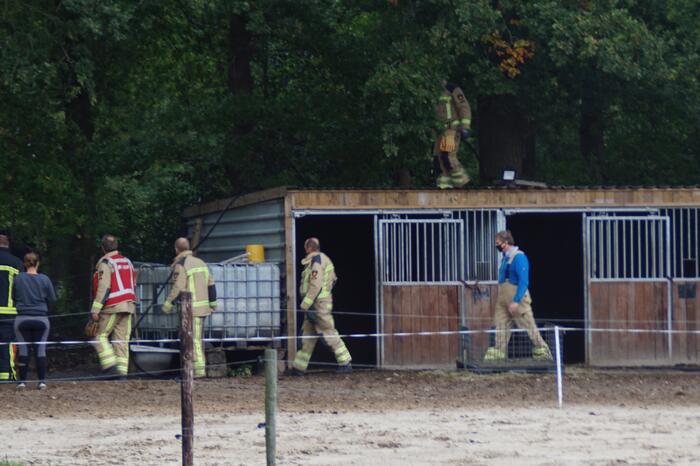 Brandweer spuit koppige kat uit boom