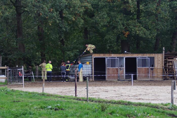 Brandweer spuit koppige kat uit boom