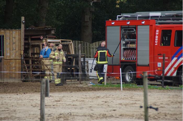 Brandweer spuit koppige kat uit boom