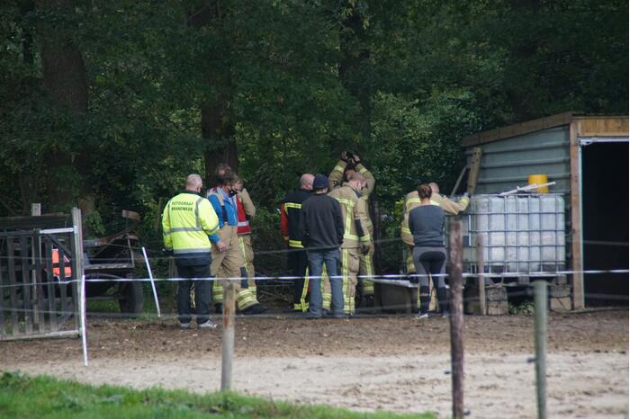 Brandweer spuit koppige kat uit boom