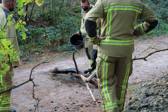 De brandweer mag wel vaker brandjes blussen!.