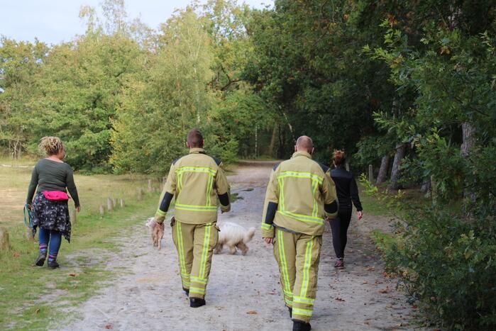 Brand in bos bagelhuiseplas