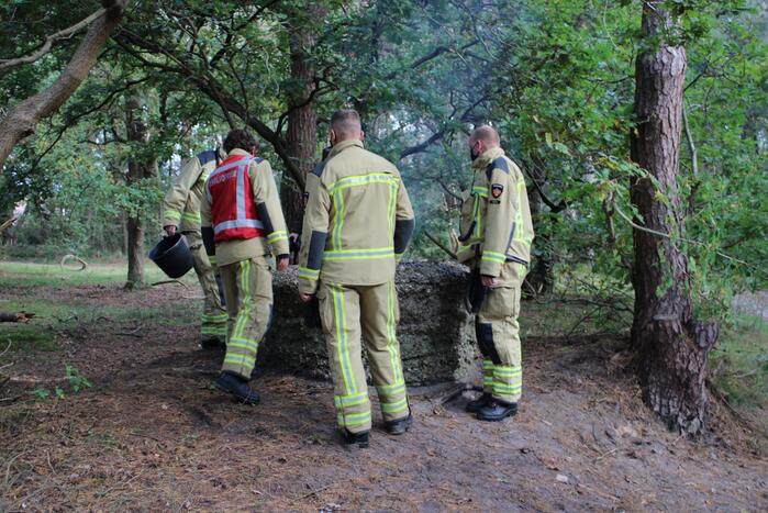 Brand in bos bagelhuiseplas