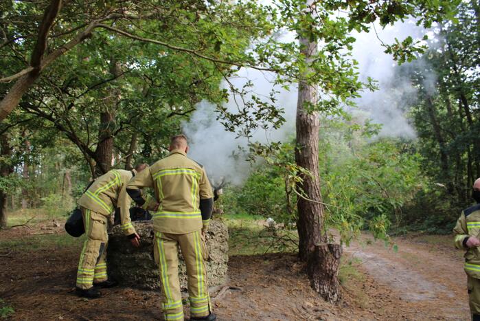 Brand in bos bagelhuiseplas