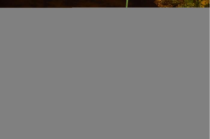 Bestelbus zanger Jason Bouman raakt te water