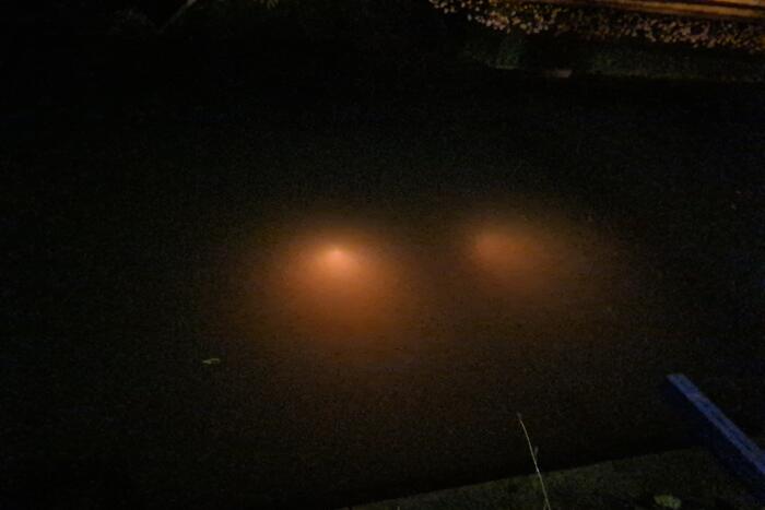 Bestelbus zanger Jason Bouman raakt te water