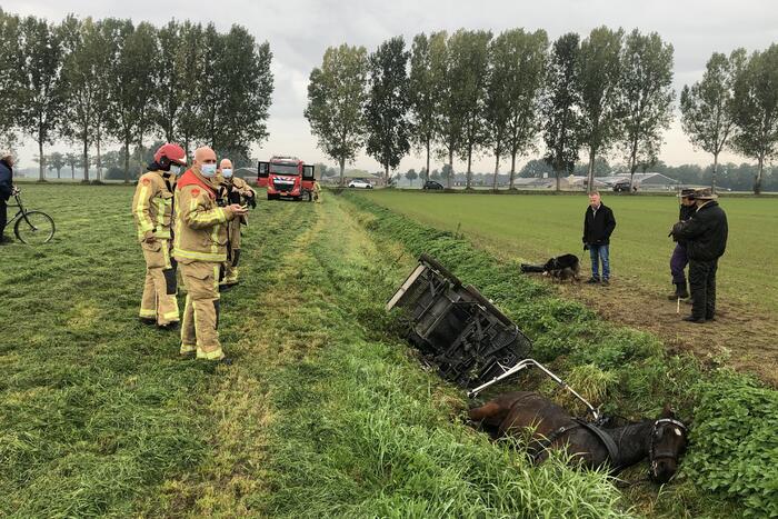 Paard en wagen valt in sloot